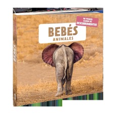 Bebés animales