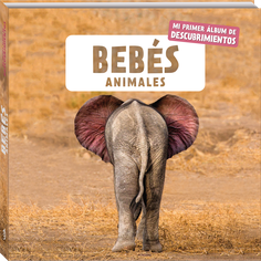 Bebés animales Bebés animales