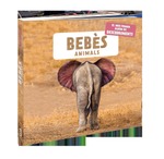 Bebès animals